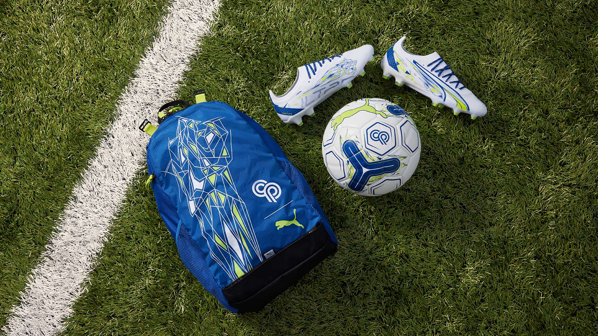 赛季的潜在 赛季的潜在