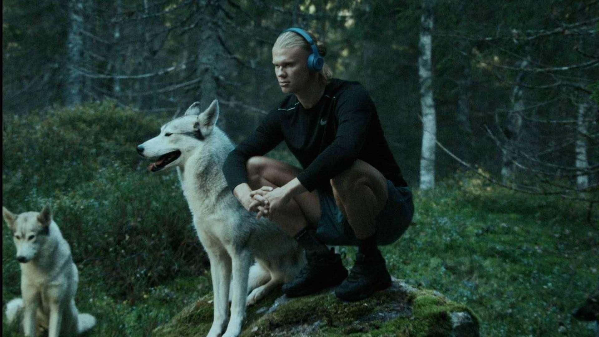 忽视的原因 忽视的原因